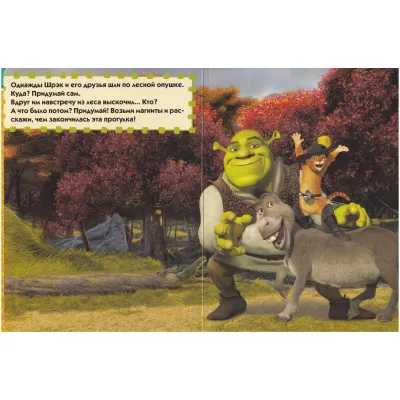 Книжка с магнитами. Что же дальше. Шрэк навсегда