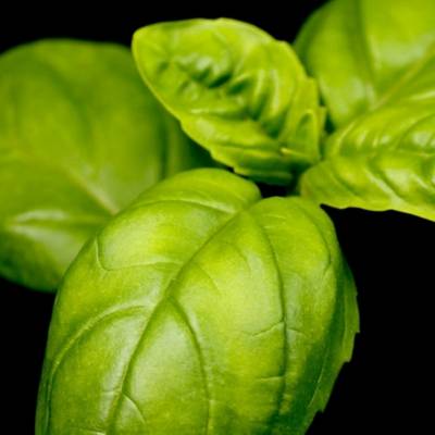 Парфюмерная вода Yodeyma "SOPHISTICATE MEN", 15 мл - аналог Dolce & Gabbana "THE ONE FOR MEN", Объем: 15, изображение 3