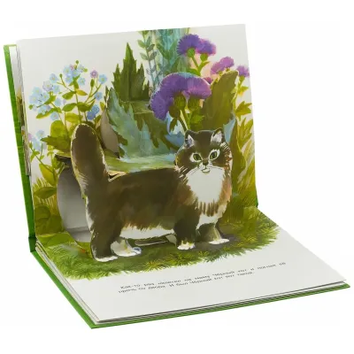 Книжка-панорамка. Цыпленок. (Стрекоза)