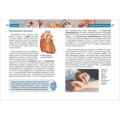 Лучшая детская энциклопедия человек