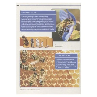 Лучшие опыты и эксперименты на улице и на даче. (АСТ)