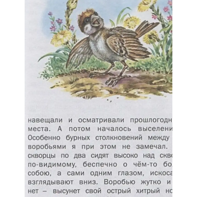 Любимые страницы. Домашнее чтение. Русич