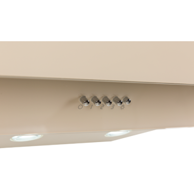 Наклонная вытяжка NS-60I (FR)