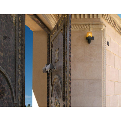 A3000A привод CAME 230 В линейный, самоблокирующийся для распашных ворот, изображение 5