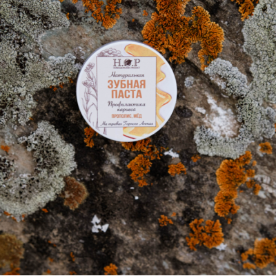 Зубная паста "ПРОФИЛАКТИКА КАРИЕСА" (твердая/концентрат)