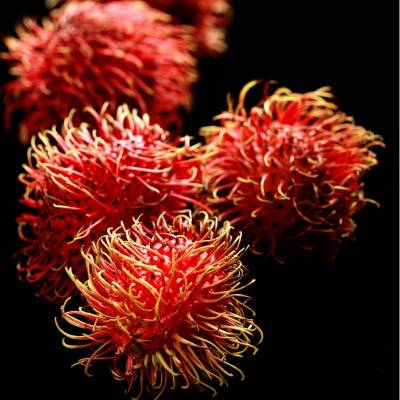 Парфюмерная вода Yodeyma "LINET", 15 мл - аналог Parfums de Marly "DELINA", Объем: 15, изображение 5