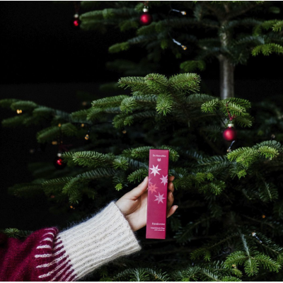 Dr. Hauschka Hydrating Hand Cream Limited (Handcreme) 50 мл Крем для рук Рождественская серия, изображение 6