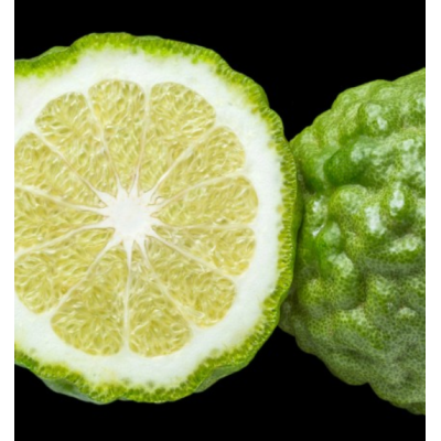 Парфюмерная вода мужская YODEYMA "BLUE SAND" 100 мл - аналог Erba Pura от Xerjoff, Объем: 100, изображение 7