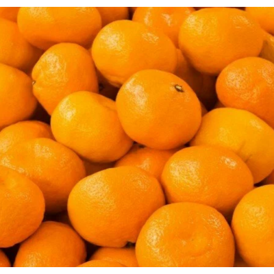 Парфюмерная вода женская YODEYMA "VÁLIA" 100 мл - аналог Parfums de Marly Valaya, Объем: 100, изображение 2