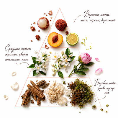 Натуральный парфюмированный гель для душа "Fleur Symphony" INNATURE La Niche по мотивам Attar Collection "AZORA", 500 мл, Варианты: Парфюмированный гель для душа Fleur Symphony, изображение 3